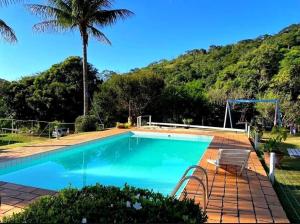 a swimming pool with a palm tree and a goal at Sítio Vivendas in Itaipava