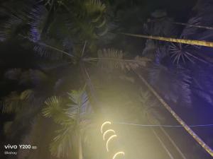 a street light in front of palm trees at night at Taksh Stay in Nagaon