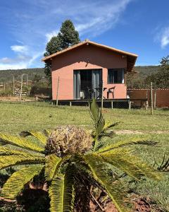 a palm tree in front of a small house at Chalé Lumiar in Santana do Riacho