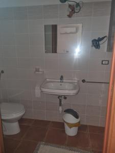 a bathroom with a sink and a toilet at Agriturismo Punta Su Cunventu in Narcao