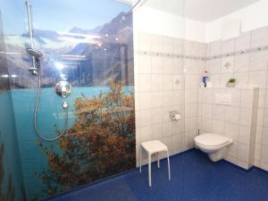 a bathroom with a shower and a toilet with a window at Apartment Birgit in Zellberg +23 photos