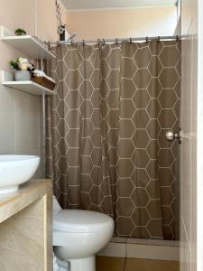 a bathroom with a toilet and a shower curtain at Cozy house in San Pedro +27 photos