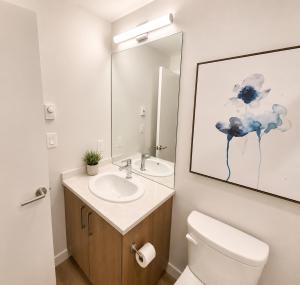 a bathroom with a sink and a toilet and a mirror at Perfect Brand New Studio Downtown Sidney in Sidney