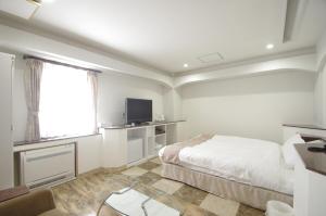 TV a/nebo společenská místnost v ubytování Hotel Imalle Yokohama Isezakicho