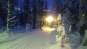 Lapland Snow Cabin v zimě