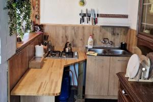 a small kitchen with a sink and a counter at Lakeside holiday villa, private garden in Wierzchowo +20 photos