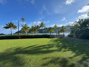 a shadow of a palm tree on a grass field at Villa Blue Lagoon Tahaa in Tahaa