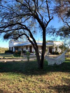 a hammock hanging from a tree in front of a house at Refugio Serrano con Chimenea y Caballos in San Javier