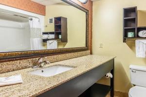 a bathroom with a sink and a mirror and a toilet at Wingate by Wyndham Conway AR in Conway