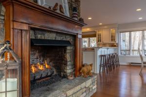 a fireplace in a living room with a dog in it at Blue Ridge Vista in Seven Devils