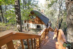 a boardwalk leading to a tree house in the woods at Villa #102 in Basye