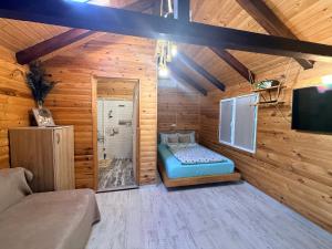 a room with a couch and a tv in a wooden wall at Cabana Sorina in Corbu