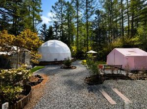 a garden with two domes and a tent at 摩天轮下的森 in Tsumagoi