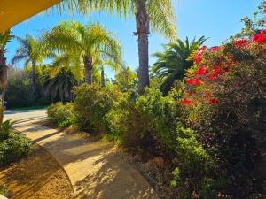 a walkway with flowering plants and palm trees at Morning Glory Retreat-Private Lux 1-Bedroom Suite in a Tropical Resort Setting in Vista