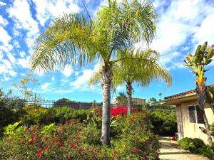 a palm tree in a garden in front of a house at Morning Glory Retreat-Private Lux 1-Bedroom Suite in a Tropical Resort Setting in Vista