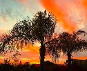 two palm trees with a sunset in the background at Morning Glory Retreat-Private Lux 1-Bedroom Suite in a Tropical Resort Setting in Vista