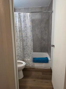 a bathroom with a shower curtain and a toilet at Dinosaur Hotel in Drumheller +38 photos