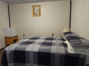 a bedroom with a blue and white checkered bed at Dinosaur Hotel in Drumheller
