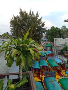 a row of colorful chairs and a palm tree on a beach at Cómodo departamento en Xochimilco in Mexico City