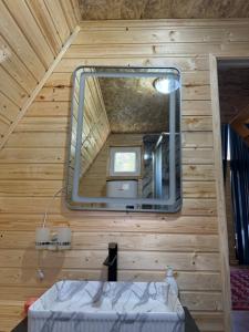 a mirror on a wooden wall in a room at Eldos_Kolsai in Saty
