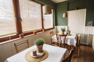 a dining room with two tables and two windows at Kmetija Pečnik in Prevalje +50 photos