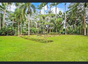 a park with palm trees and a field of grass at Enchanted Garden Escape in Mowbray