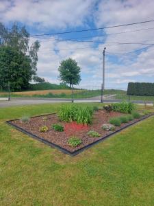 a garden with flowers and plants in the grass at Apartament Panorama - noclegi blisko Energylandii in Bachowice