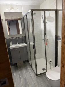 a bathroom with a shower and a toilet and a sink at Studio avec cheminée et jardin in Gréolières