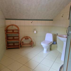 a bathroom with a toilet and a sink at Pod Smerekiem in Wetlina