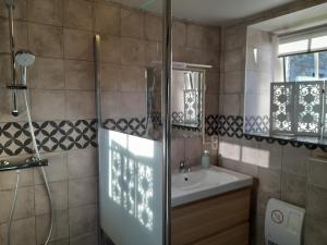 a bathroom with a shower and a sink at Le Cerf volant in Libin