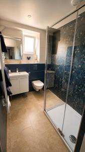 a bathroom with a shower and a toilet and a sink at La Garçonnière appartement climatisé in Charolles +12 photos