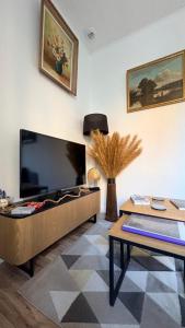 a living room with a large flat screen tv at La Garçonnière appartement climatisé in Charolles