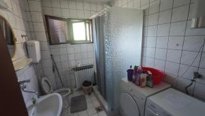 a bathroom with a shower and a toilet and a sink at Prenoćište Dika in Višegrad