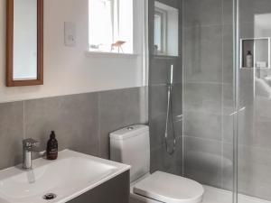 a bathroom with a shower and a toilet and a sink at Croft 105 in Melvich +9 photos