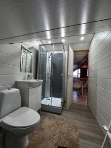 a bathroom with a toilet and a walk in shower at Bjarmaland in Vestmannaeyjar