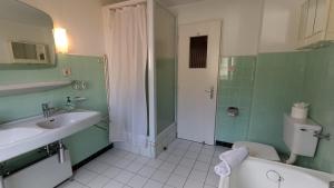 a bathroom with a sink and a toilet and a shower at Panorama 14 in Bagnes