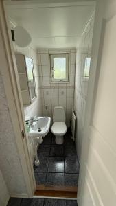 a small bathroom with a toilet and a sink at Ribe Villa in Stockholm