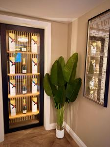 a plant in a room with a shelf of wine bottles at La Mancha Hall Stately Home in Halsall