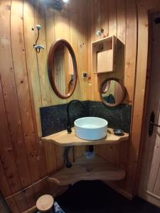 a bathroom with a sink and a mirror at La cabane de Jane in Saint-Bonnet-lʼEnfantier +17 photos