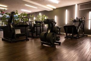 a gym with several rows of exercise equipment in a room at Hotel & Wellness Zuiver in Amsterdam