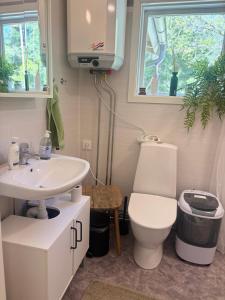 a bathroom with a toilet and a sink at Stuga Rödhake in Annerstad +22 photos