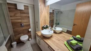 a bathroom with a sink and a toilet and a mirror at Riella Home in Szombathely