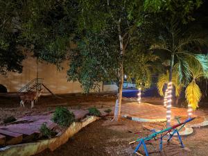 a garden with two trees and a playground with lights at Serenity Villa in Rushikonda