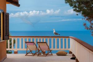 two chairs and a bird on a balcony with the ocean at Seafront Collection - Bungalows and Villas in Aspra