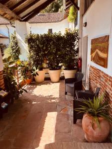 a patio with potted plants on a building at Casa Molino dei Protti in Giussago +6 photos