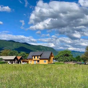 a house in a field with mountains in the background at B&B Woodhouse in Brezje