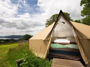 a tent with a bed in a field at YHA Windermere in Troutbeck