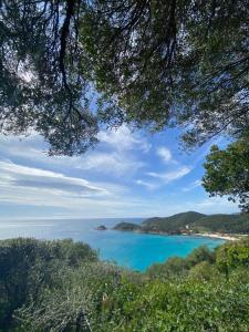 a view of a beach with blue water and trees at ALICIA in Zonza