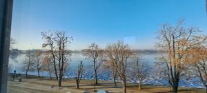 a group of trees next to a body of water at Wschód Słońca Ełk in Ełk +1 photo