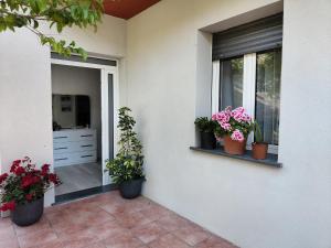 a house with three potted plants sitting on a porch at Country House Atessa in Atessa